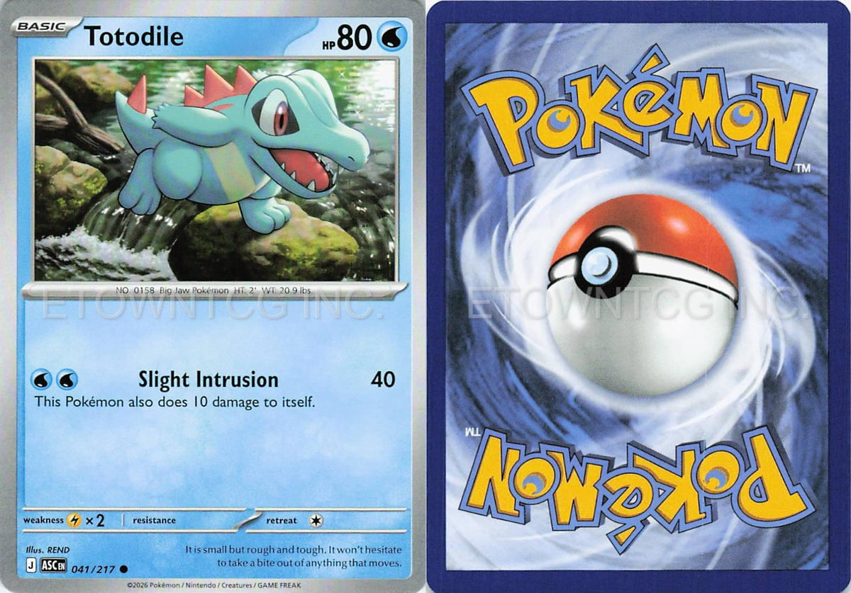 TOTODILE 041/217 C ASCENDED HEROES POKEMON NM