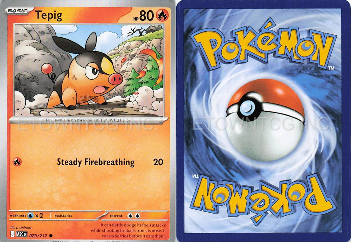TEPIG 029/217 C ASCENDED HEROES POKEMON NM