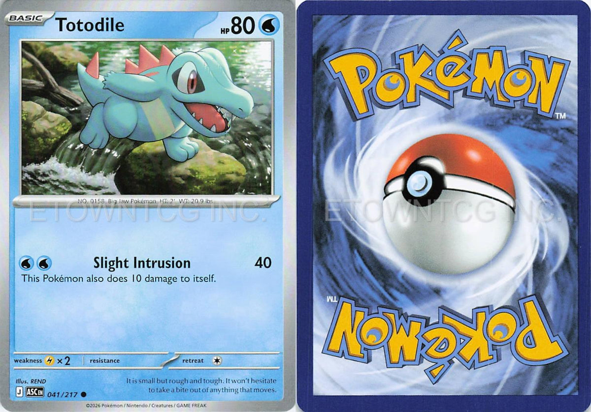 TOTODILE 041/217 C ASCENDED HEROES POKEMON NM