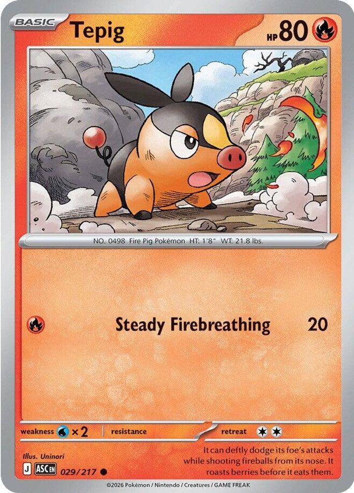 TEPIG 029/217 C ASCENDED HEROES POKEMON NM