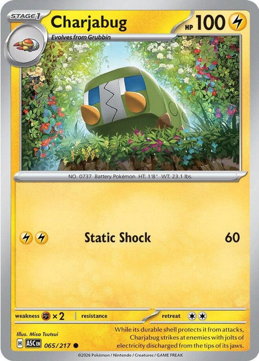 CHARJABUG 065/217 C ASCENDED HEROES POKEMON NM