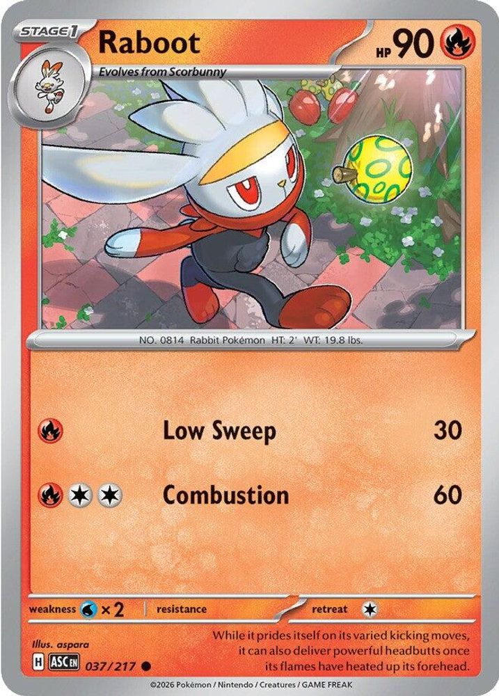 RABOOT 037/217 C ASCENDED HEROES POKEMON NM