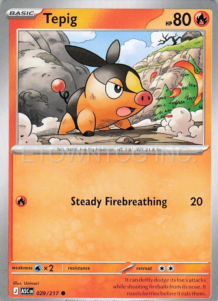 TEPIG 029/217 C ASCENDED HEROES POKEMON NM