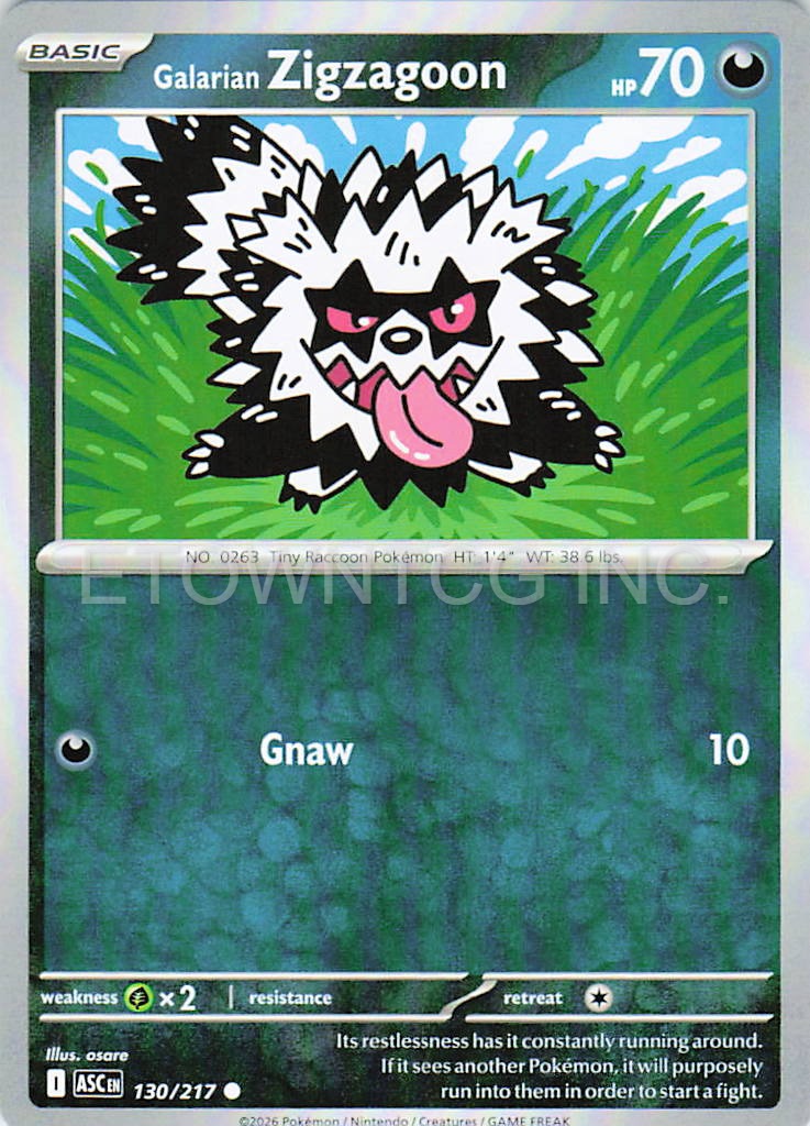 GALARIAN ZIGZAGOON 130/217 C ASCENDED HEROES POKEMON NM