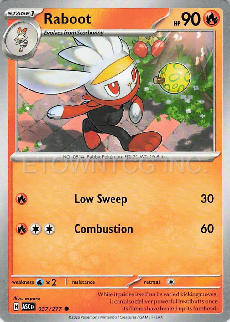 RABOOT 037/217 C ASCENDED HEROES POKEMON NM