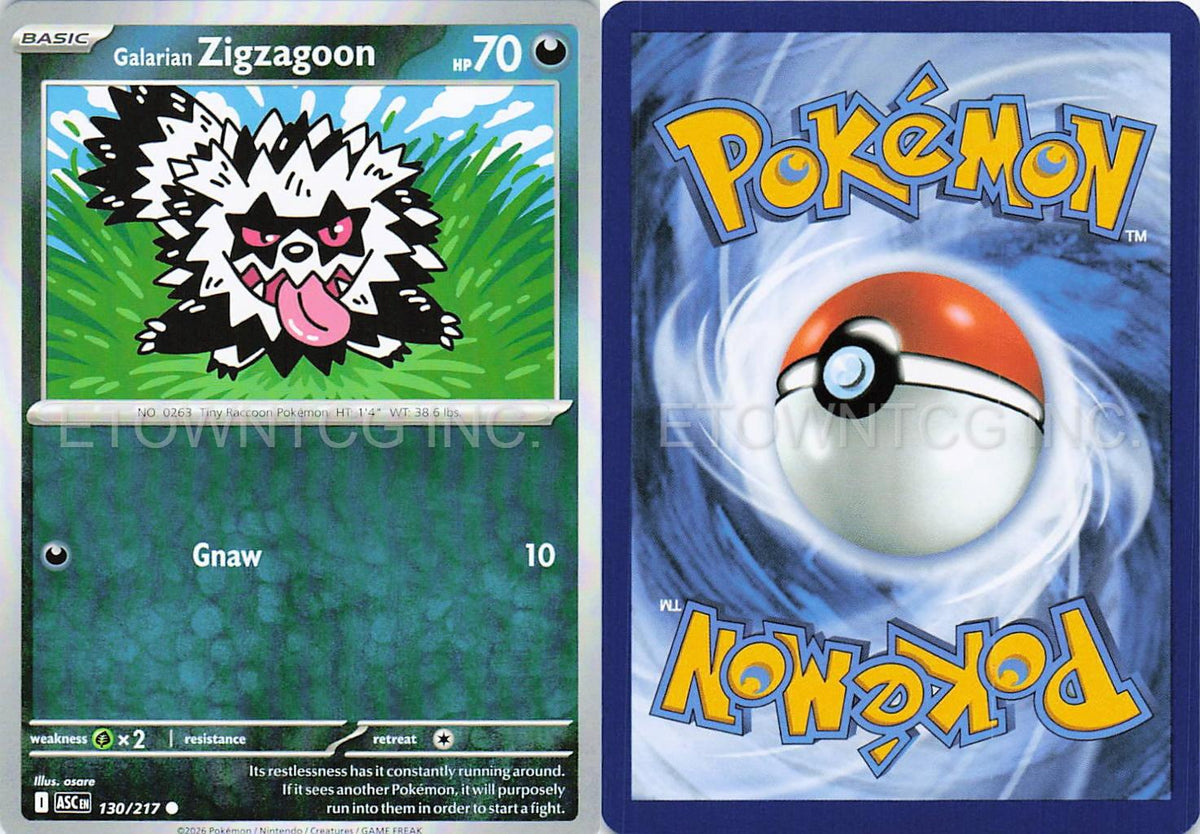 GALARIAN ZIGZAGOON 130/217 C ASCENDED HEROES POKEMON NM