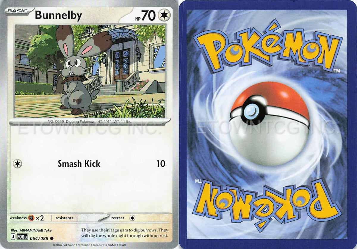 BUNNELBY 064/088 C PERFECT ORDER POKEMON NM