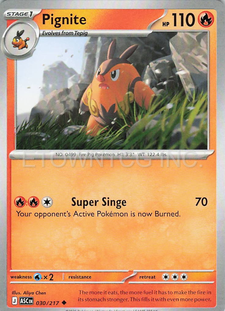 PIGNITE 030/217 UC ASCENDED HEROES POKEMON NM