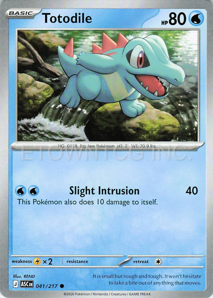TOTODILE 041/217 C ASCENDED HEROES POKEMON NM