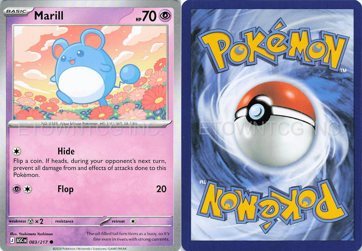 MARILL 083/217 C ASCENDED HEROES POKEMON NM