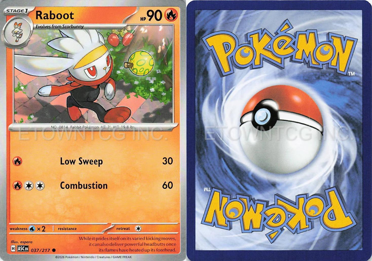 RABOOT 037/217 C ASCENDED HEROES POKEMON NM