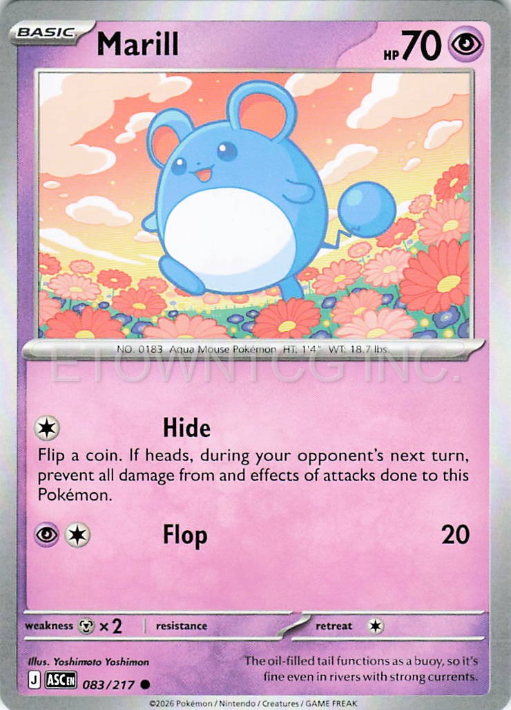 MARILL 083/217 C ASCENDED HEROES POKEMON NM