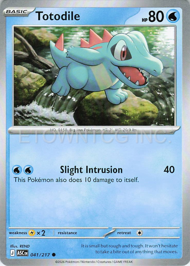 TOTODILE 041/217 C ASCENDED HEROES POKEMON NM